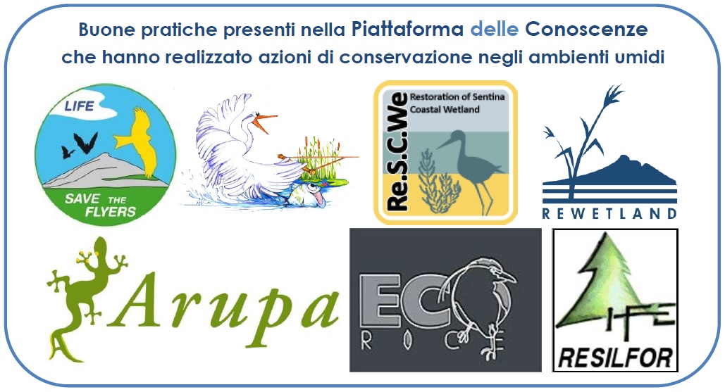 Buone pratiche presenti nella Piattaforma delle Conoscenze che hanno realizzato azioni di conservazione negli ambienti umidi