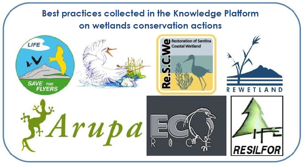 Best practices collected in the Knowledge Platform on wetlands conservation actions