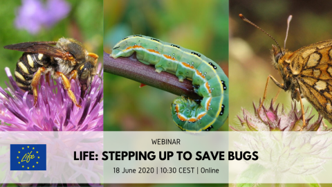 webinar 18 giugno 2020 LIFE conservazione degli invertebrati