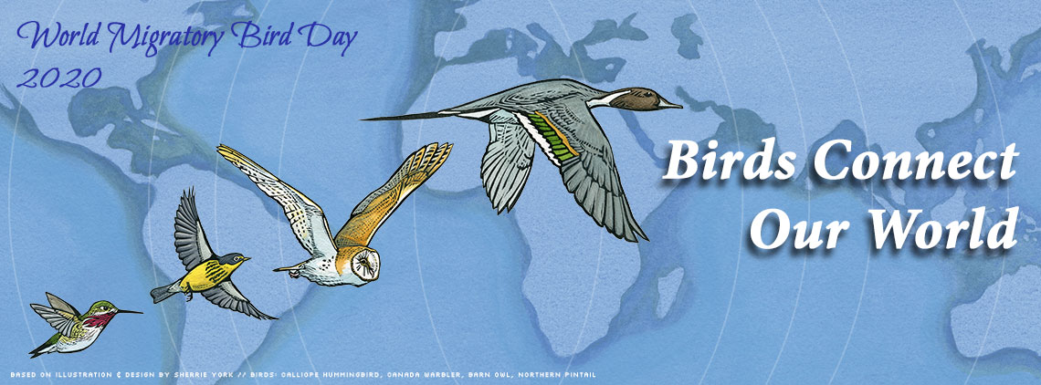 Giornata uccelli migratori