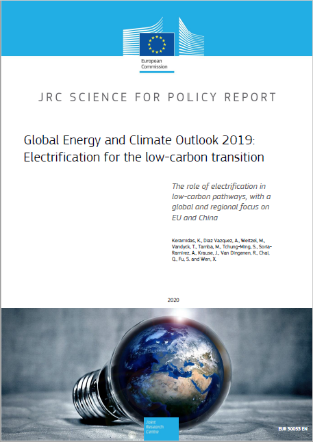 immagine JRC Science For Policy Report