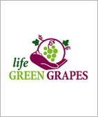 Logo Life Green Grapes