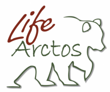 Logo ARCTOS