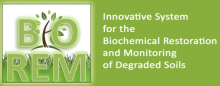 Logo Biorem