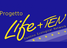 Logo LIFE TEN