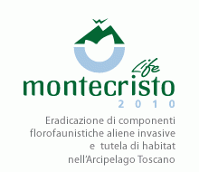 Logo Montecristo 2010