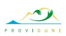 Logo Providune
