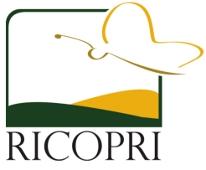 Logo RICOPRI