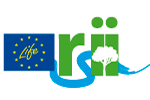Logo RII