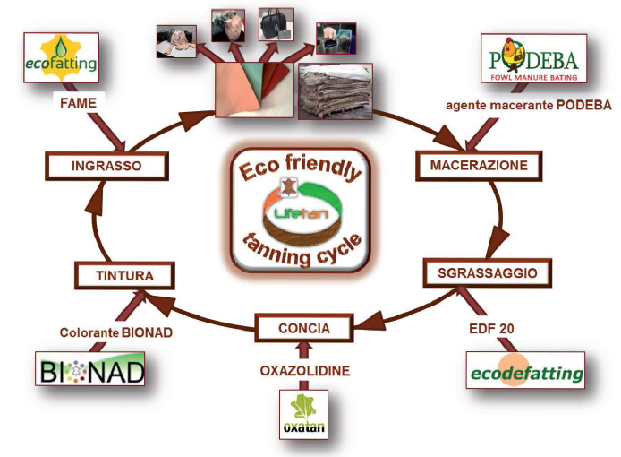 Eco Friendly Tanning Cycle