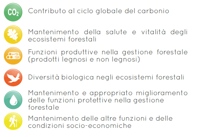 criteri futureforcoppices